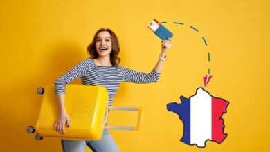 Votre arrivée en France